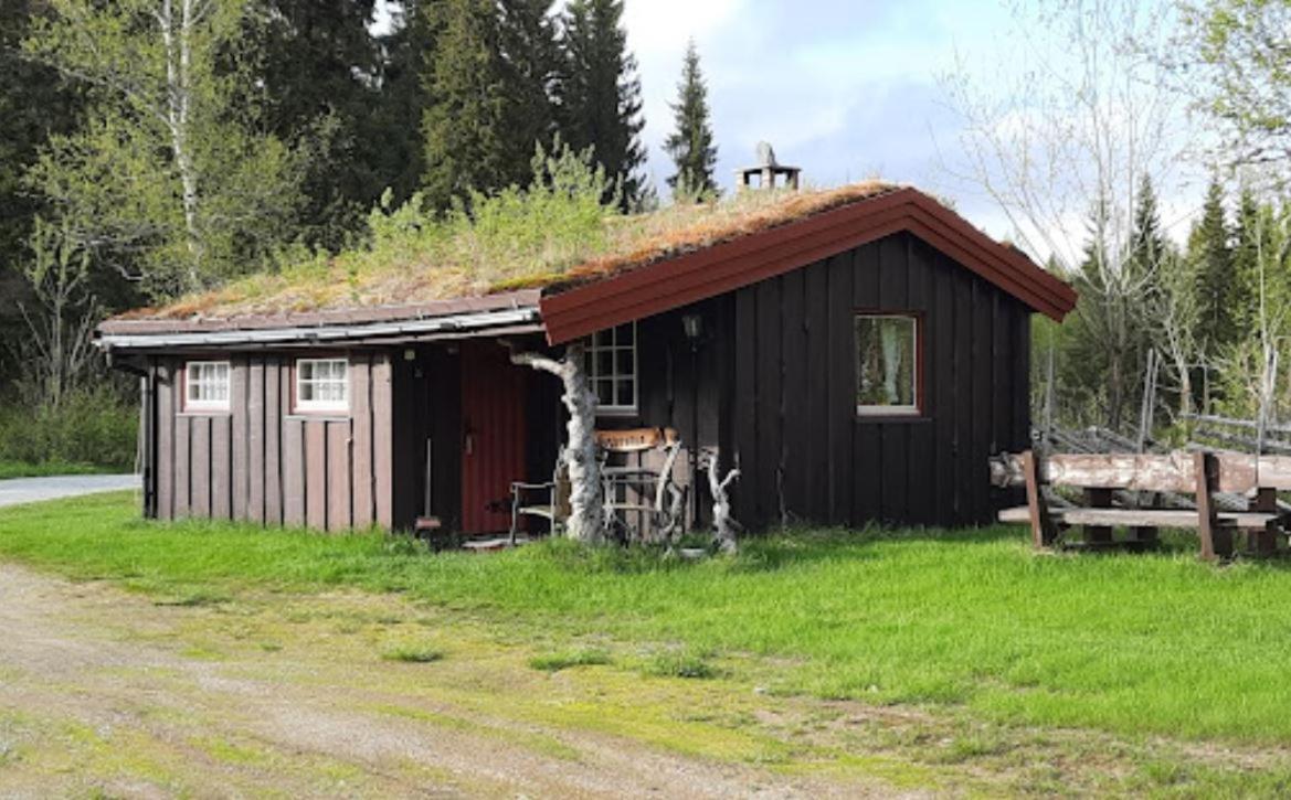 Campsite Saeterhaugen Asmulen