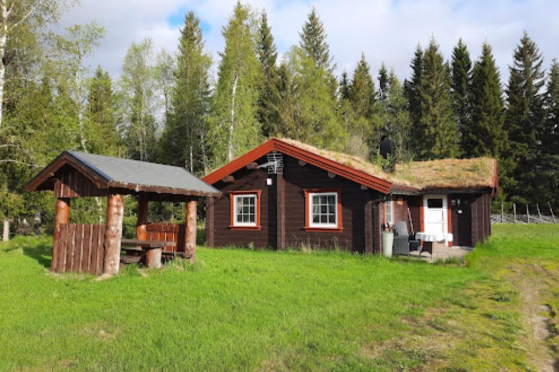 Saeterhaugen Asmulen