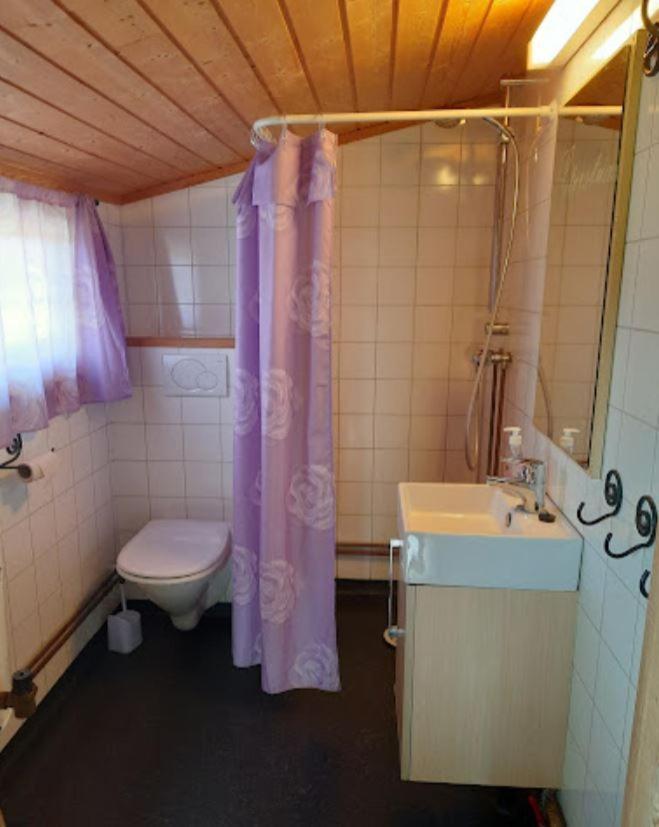 Saeterhaugen * Asmulen